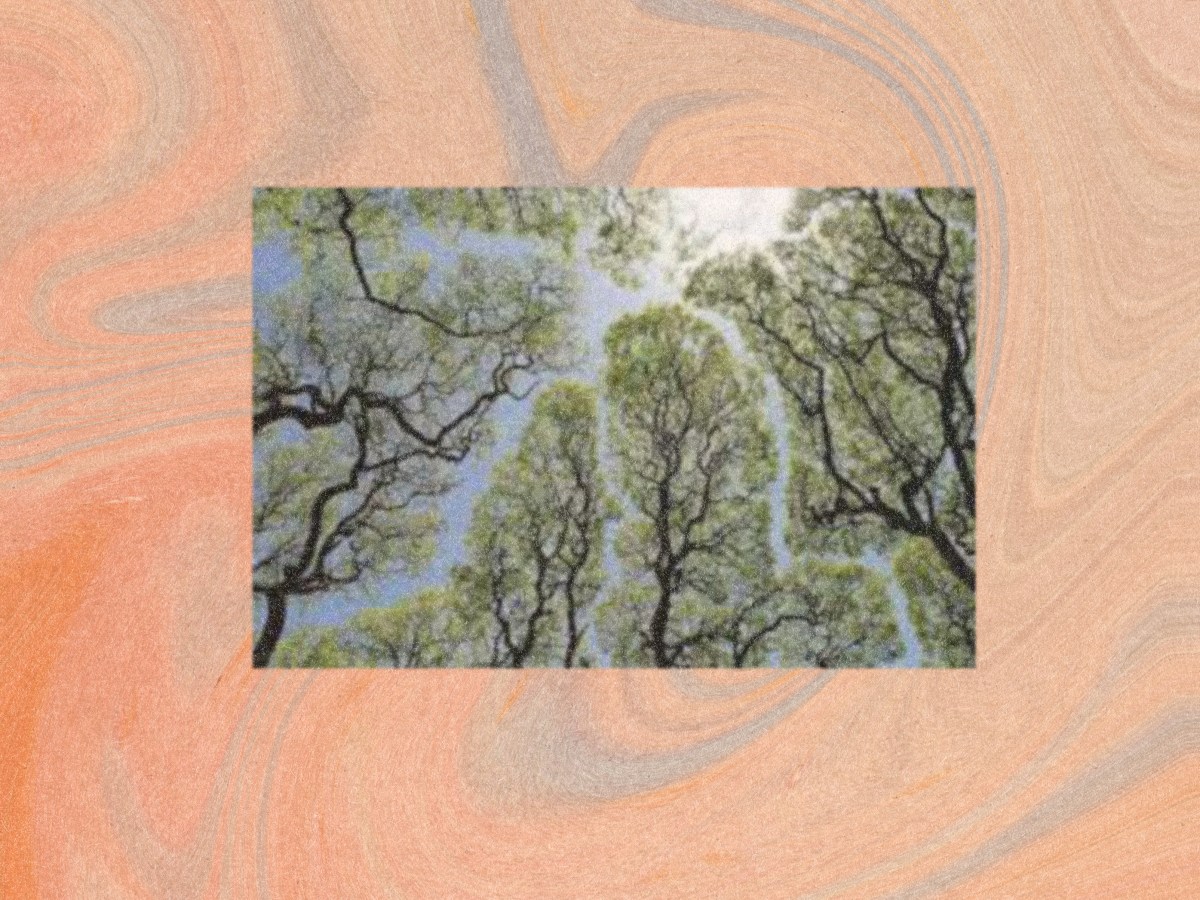 [Bocadillo] Palabras de la naturaleza —&nbsp;1